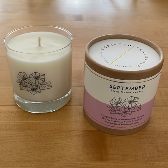 NEW 100% Soy Wax Scripted Fragrance September Birth Month Flower Soy Candle - Picture 6 of 9